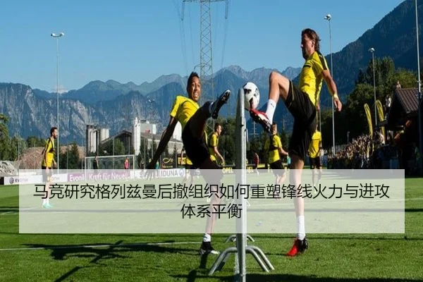 img_1780530952157_3638_0_231.jpg